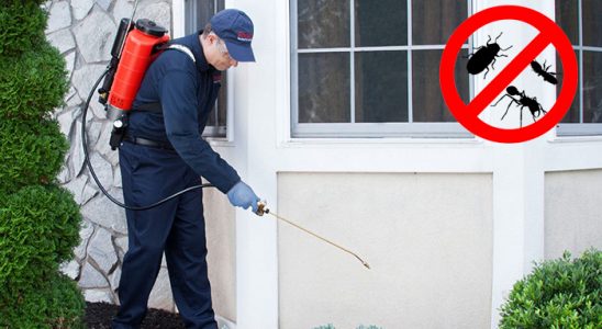 Pursaklar Hamam Böceği İlaçlama böcek ilaçlama ve haşere kontrolü — ilaclama-tr.com